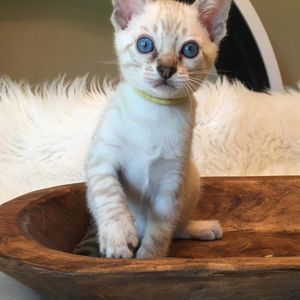 Meet your Posher, Kari